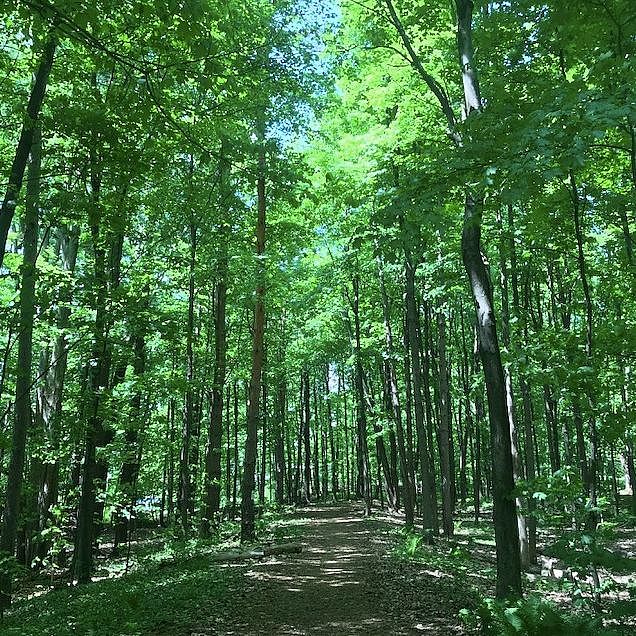 Stevens Park