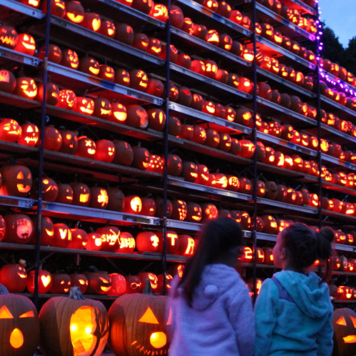 two children looking at a wall of carved and lighted pumpkins