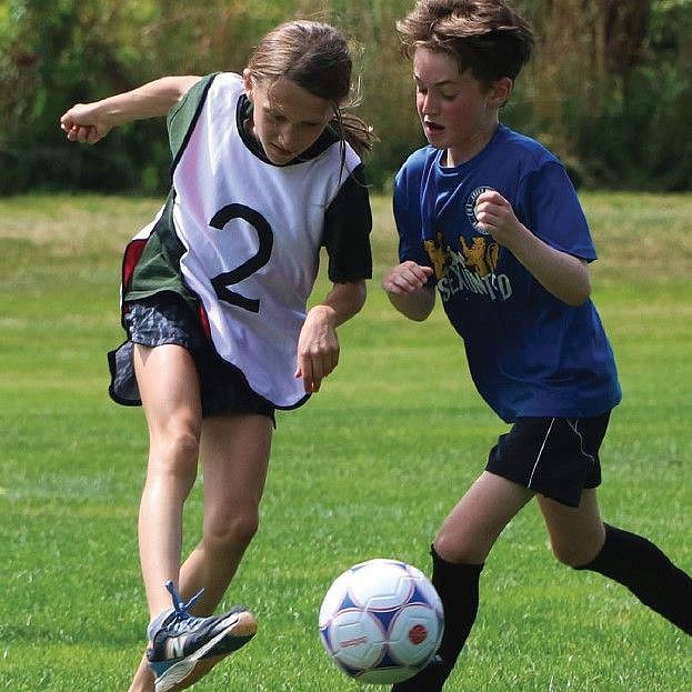 children playing soccer