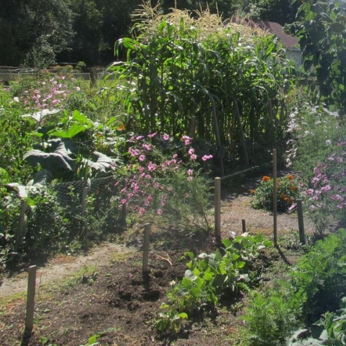 Village Community Gardens
